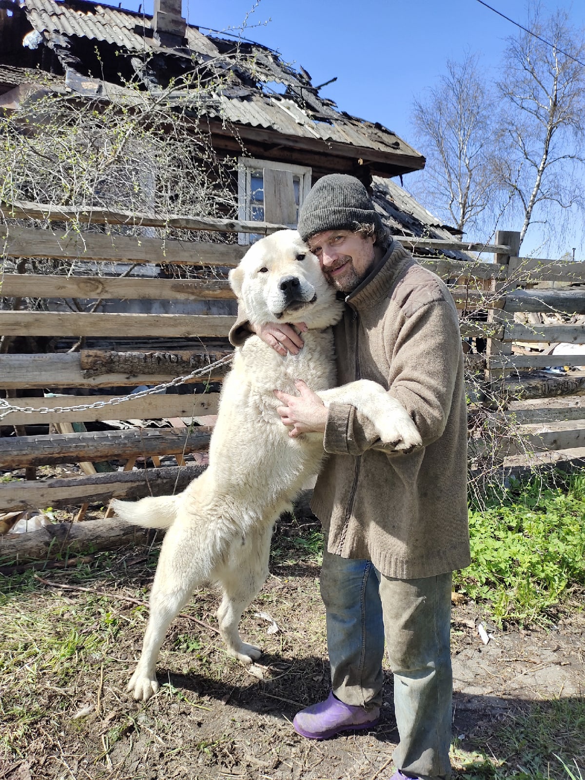 В Вологде сгорел дом, где временно проживали собаки и кошки